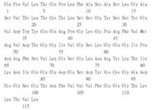 Figure 109115264-A0305-02-0224-60