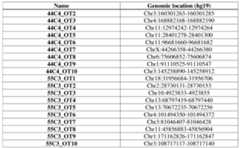 Figure imgf000079_0001