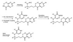 Figure imgf000121_0002