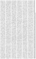 Figure IDA00002091897100591