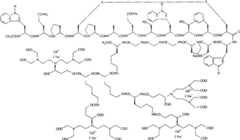 Figure G2007800458747D00952