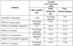 Figure imgf000091_0001