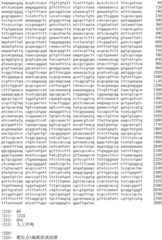 Figure IDA0002536600790000431