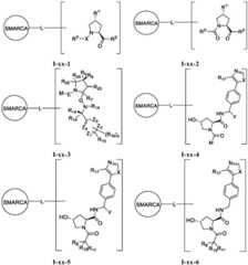 Figure FDA0003783300820000312