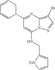 Figure US07119200-20061010-C01526