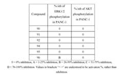 Figure imgf000300_0001