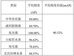 Figure BDA0002610521470000081