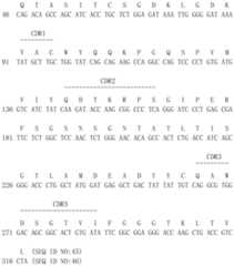 Figure PCTCN2015086216-appb-000006