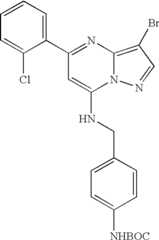 Figure US07119200-20061010-C01367