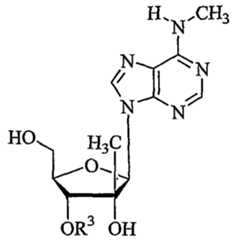 Figure imgf000051_0001