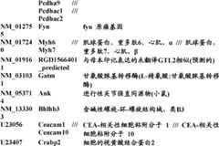 Figure BDA0000057170160002091