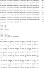 Figure IYZ000004173722900091