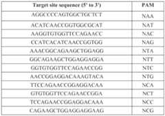 Figure imgf000099_0002