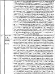 Figure BPA0000175368630000321