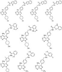 Figure FDA0003512949180000481