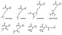 Figure imgf000012_0003