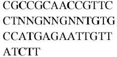 Figure imgb0156