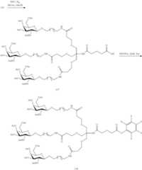 Figure US09181549-20151110-C00664