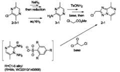 Figure JPOXMLDOC01-appb-C000131