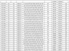 Figure imgf000340_0001