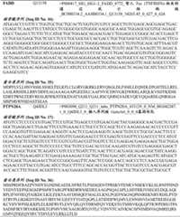 Figure BDA0003206688030000341