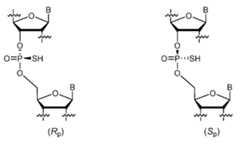 Figure imgf000021_0001