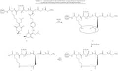 Figure US08278274-20121002-C00013