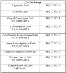 Figure imgf000017_0001