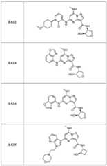 Figure imgf000254_0001