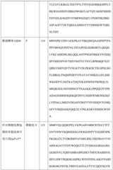 Figure BDA0004113681710000521