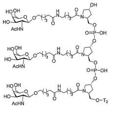 Figure 2023012548000434