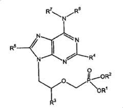 Figure G200580023210101D00081