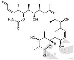 Figure imgf000499_0003