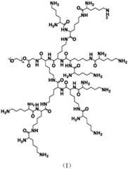 Figure FDA0003091261060000021