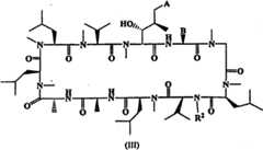 Figure FPA00001287625300111