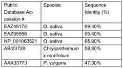 Figure imgf000023_0001