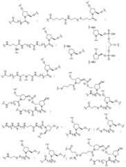 Figure BDA0003357312860001011