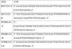 Figure BDA0002941617010000112
