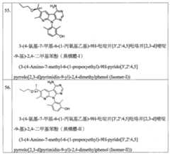 Figure 113105161-A0202-12-0059-98