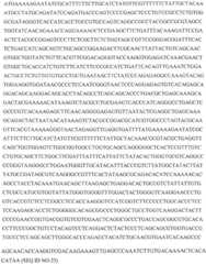 Figure GDA0002870045410000851