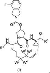 Figure BPA00001530935300031