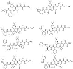 Figure imgf000314_0002