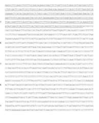 Figure imgf000037_0001