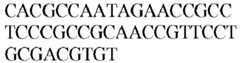 Figure imgb0422