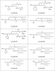 Figure BDA0003154168970001011