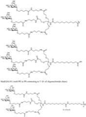 Figure imgf000537_0001