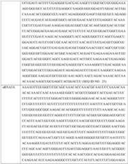 Figure imgf000383_0001