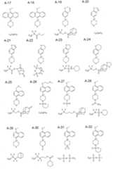 Figure 112015019095925-pct00016