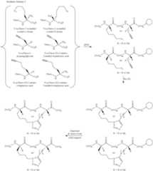 Figure US09522947-20161220-C00049