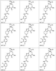 Figure BDA0003265543490002801